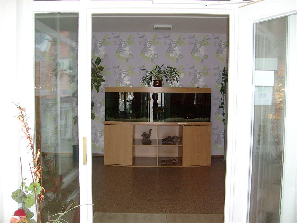 Villa Auszeit Hotel Garni Heringsdorf  Exteriör bild